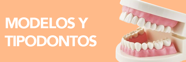 Estudiantes Tipodontos