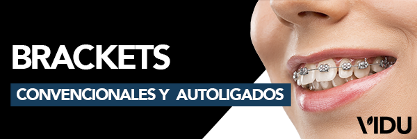 Vidu Brackets