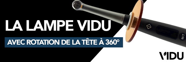 Vidu Estetica