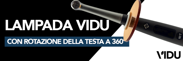 Vidu Estetica