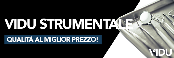 Vidu Instrumental