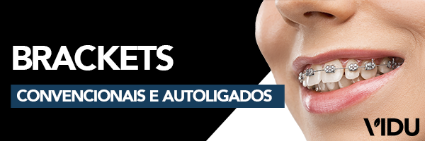 Vidu Brackets