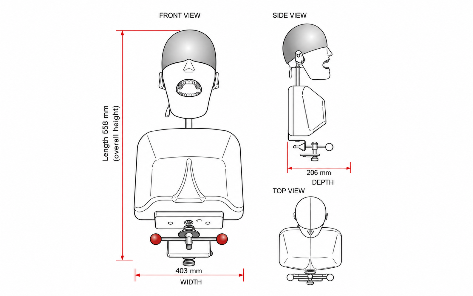 Technical diagram of the phantom head simulator with dimensions