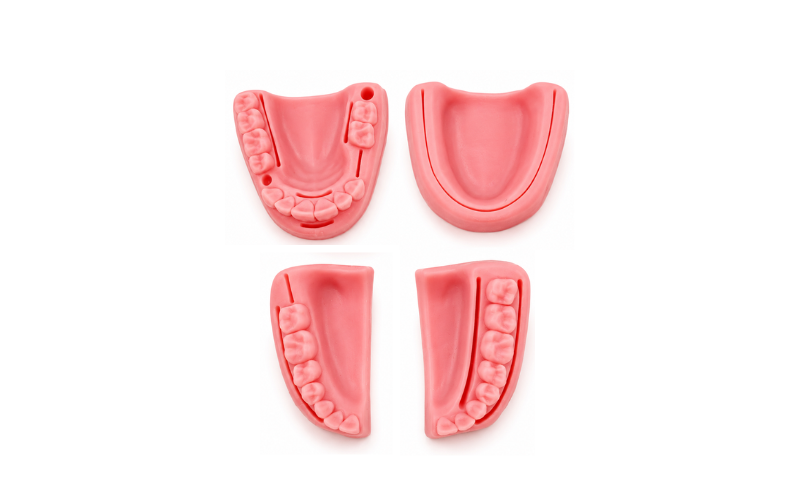Modelo de Silicona para Suturas Oral