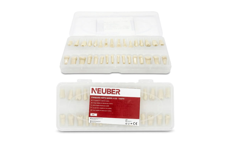 Dientes para Tipodonto Tipo Frassaco Adulto 32pcs